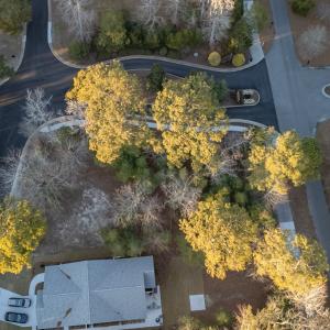 Photo #13 of 1 CARISSA CT, CAPE CHARLES, VA 0.4 acres