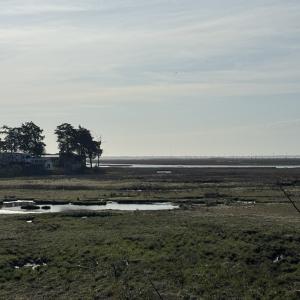 Photo #5 of Lot 113 WALLOPS DRIVE, HORNTOWN, VA 0.1 acres