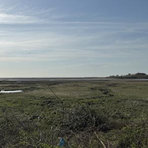 Photo #7 of Lot 113 WALLOPS DRIVE, HORNTOWN, VA 0.1 acres