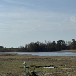Photo #3 of 6280 WALLOPS DRIVE, HORNTOWN, VA 0.1 acres