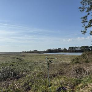 Photo #4 of 6280 WALLOPS DRIVE, HORNTOWN, VA 0.1 acres