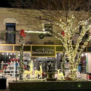 Photo #33 of Lot 14A WATERS EDGE DRIVE, CAPE CHARLES, VA 0.4 acres