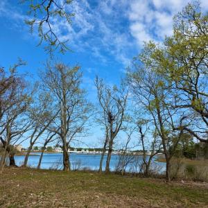 Photo #5 of Lot 14A WATERS EDGE DRIVE, CAPE CHARLES, VA 0.4 acres