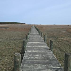 Photo #3 of HIGH ST, ACCOMAC, VA 3.1 acres