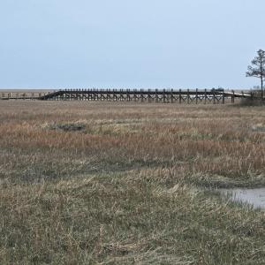 Photo #4 of HIGH ST, ACCOMAC, VA 3.1 acres