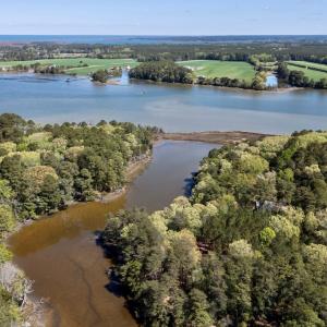 Photo #10 of Lot 1 ROYAL WOODS LN, BELLE HAVEN, VA 8.3 acres