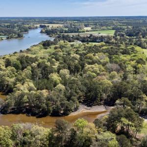 Photo #11 of Lot 1 ROYAL WOODS LN, BELLE HAVEN, VA 8.3 acres