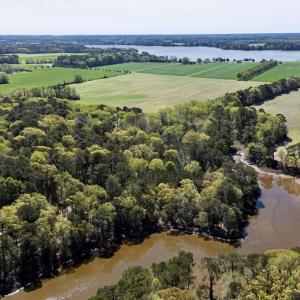 Photo #12 of Lot 1 ROYAL WOODS LN, BELLE HAVEN, VA 8.3 acres