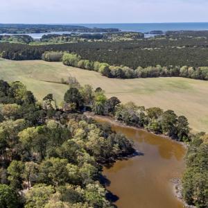 Photo #13 of Lot 1 ROYAL WOODS LN, BELLE HAVEN, VA 8.3 acres