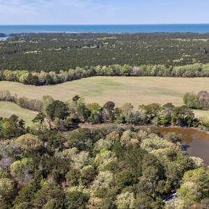 Photo #14 of Lot 1 ROYAL WOODS LN, BELLE HAVEN, VA 8.3 acres