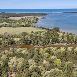 Photo #15 of Lot 1 ROYAL WOODS LN, BELLE HAVEN, VA 8.3 acres