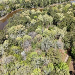 Photo #16 of Lot 1 ROYAL WOODS LN, BELLE HAVEN, VA 8.3 acres