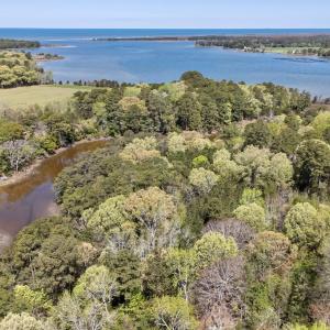 Photo #17 of Lot 1 ROYAL WOODS LN, BELLE HAVEN, VA 8.3 acres