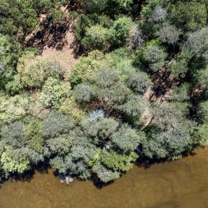 Photo #18 of Lot 1 ROYAL WOODS LN, BELLE HAVEN, VA 8.3 acres