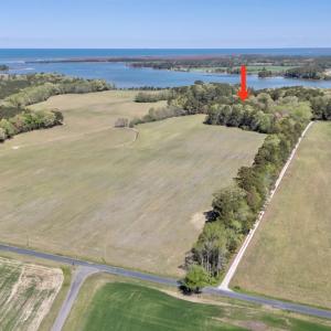 Photo #3 of Lot 1 ROYAL WOODS LN, BELLE HAVEN, VA 8.3 acres