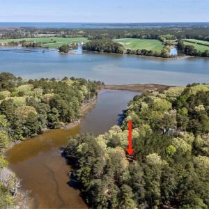 Photo #5 of Lot 1 ROYAL WOODS LN, BELLE HAVEN, VA 8.3 acres