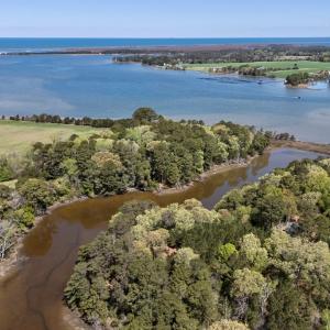 Photo #9 of Lot 1 ROYAL WOODS LN, BELLE HAVEN, VA 8.3 acres