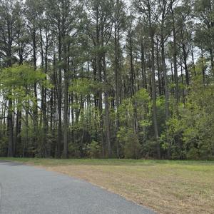 Photo #2 of HIGH ST, ACCOMAC, VA 8.4 acres