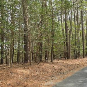 Photo #3 of HIGH ST, ACCOMAC, VA 8.4 acres