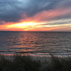 Photo #15 of Lot 8 SAND HILL DR, CAPE CHARLES, VA 2.6 acres