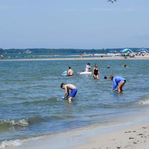 Photo #18 of Lot 8 SAND HILL DR, CAPE CHARLES, VA 2.6 acres