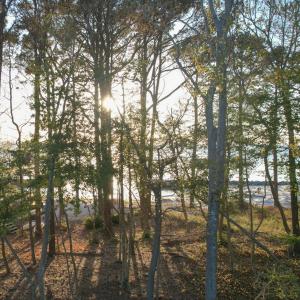 Photo #5 of Lot 8 SAND HILL DR, CAPE CHARLES, VA 2.6 acres