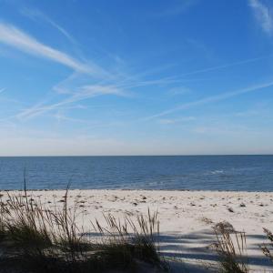 Photo #10 of Lot 21 SAND HILL DR, CAPE CHARLES, VA 2.5 acres