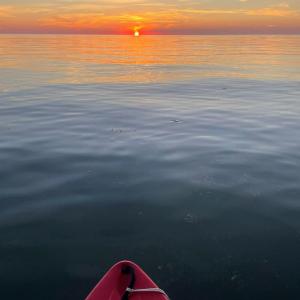 Photo #13 of Lot 21 SAND HILL DR, CAPE CHARLES, VA 2.5 acres