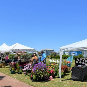 Photo #19 of Lot 21 SAND HILL DR, CAPE CHARLES, VA 2.5 acres