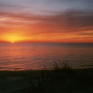 Photo #7 of Lot 21 SAND HILL DR, CAPE CHARLES, VA 2.5 acres