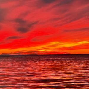 Photo #8 of Lot 21 SAND HILL DR, CAPE CHARLES, VA 2.5 acres