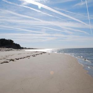 Photo #9 of Lot 21 SAND HILL DR, CAPE CHARLES, VA 2.5 acres