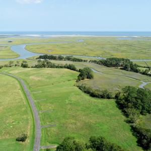Photo #9 of Lot 33 SEAVIEW ST, ACCOMAC, VA 4.2 acres