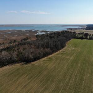 Photo #15 of 6049 POPLAR GROVE LN, CAPE CHARLES, VA 321.6 acres