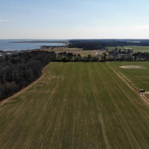 Photo #16 of 6049 POPLAR GROVE LN, CAPE CHARLES, VA 321.6 acres