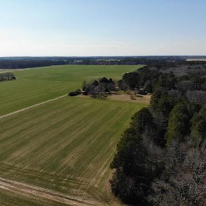 Photo #17 of 6049 POPLAR GROVE LN, CAPE CHARLES, VA 321.6 acres