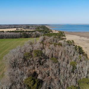 Photo #22 of 6049 POPLAR GROVE LN, CAPE CHARLES, VA 321.6 acres