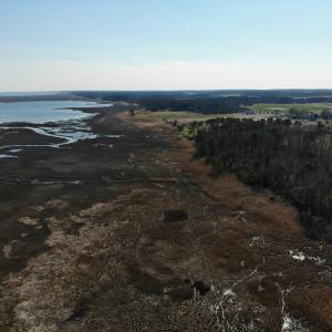 Photo #25 of 6049 POPLAR GROVE LN, CAPE CHARLES, VA 321.6 acres