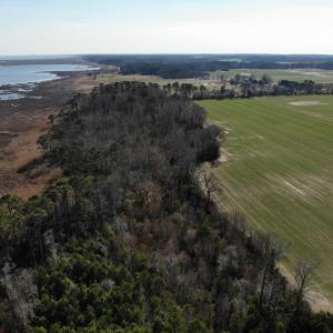 Photo #27 of 6049 POPLAR GROVE LN, CAPE CHARLES, VA 321.6 acres