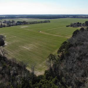 Photo #28 of 6049 POPLAR GROVE LN, CAPE CHARLES, VA 321.6 acres