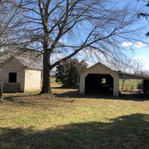 Photo #5 of 6049 POPLAR GROVE LN, CAPE CHARLES, VA 321.6 acres