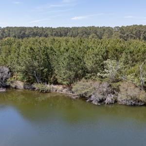 Photo #9 of Lot 16 NANDUA DR, PAINTER, VA 3.6 acres