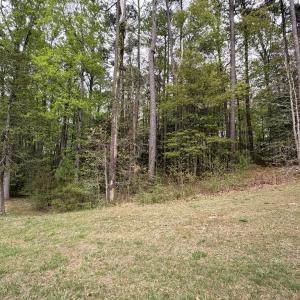 Lot 69
