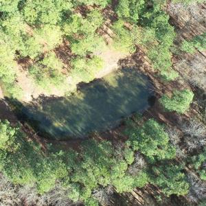 Photo #22 of LANKFORD HWY, PARKSLEY, VA 45.3 acres