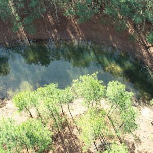 Photo #26 of LANKFORD HWY, PARKSLEY, VA 45.3 acres