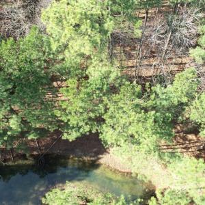 Photo #27 of LANKFORD HWY, PARKSLEY, VA 45.3 acres