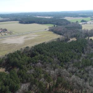 Photo #4 of LANKFORD HWY, PARKSLEY, VA 45.3 acres