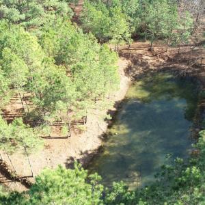 Photo #16 of LANKFORD HWY, PARKSLEY, VA 45.3 acres