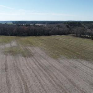 Photo #33 of LANKFORD HWY, PARKSLEY, VA 45.3 acres