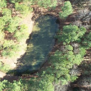 Photo #22 of LANKFORD HWY, PARKSLEY, VA 45.3 acres